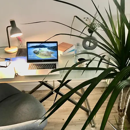 Apartment Flat Close To Seine River In Paris *